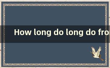 How long do long do from the Developer Preview version to the正式版（从开发者预览版到正式版玩需要多长时间）